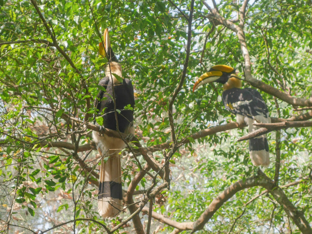 Pyin Oo Lyin Myanmar Pyin Oo Lyin Myanmar