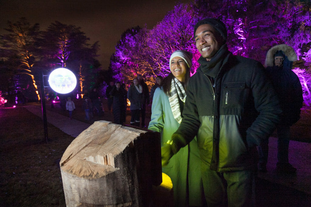 Morton Arboretum: ILLUMINATION Morton Arboretum: ILLUMINATION