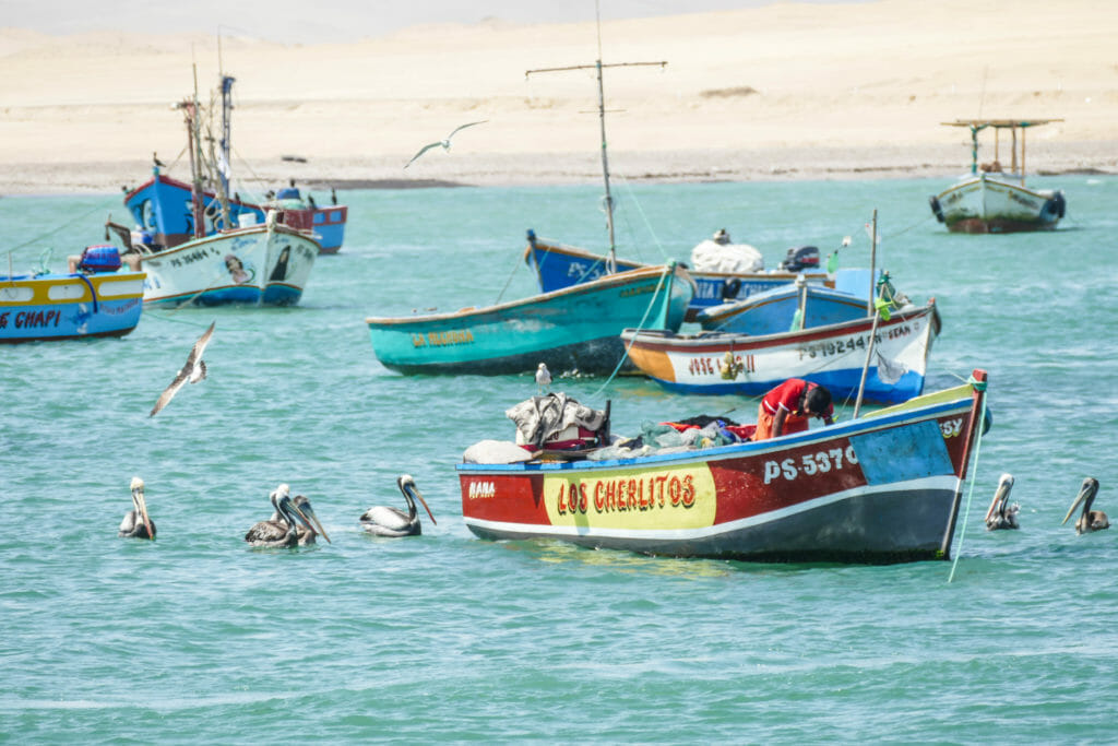 Paracas PERU Paracas PERU