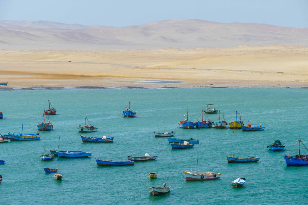 Paracas PERU Paracas PERU