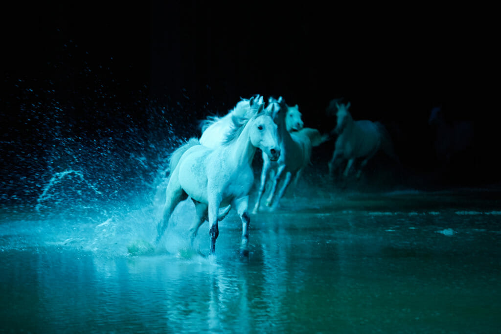 Cavalia ODYSSEO