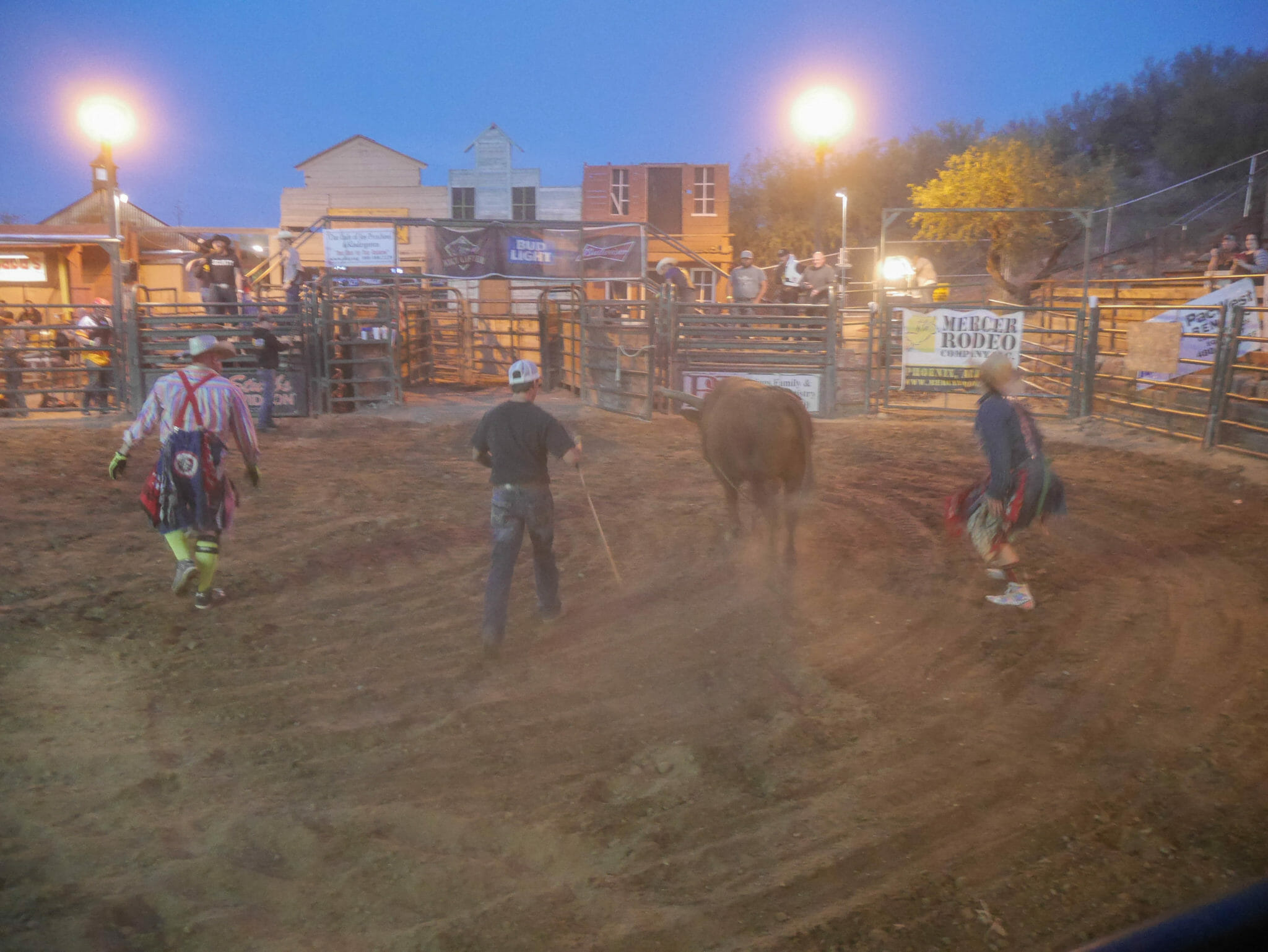 Scottsdale Tour Buffalo Chip Saloon Bull Riding Review