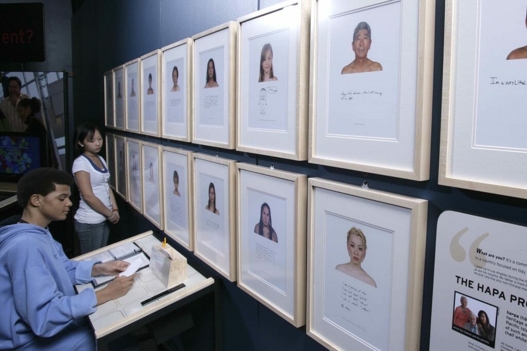 Self-Identification Chicago History Museum RACE: ARE WE SO DIFFERENT? Review