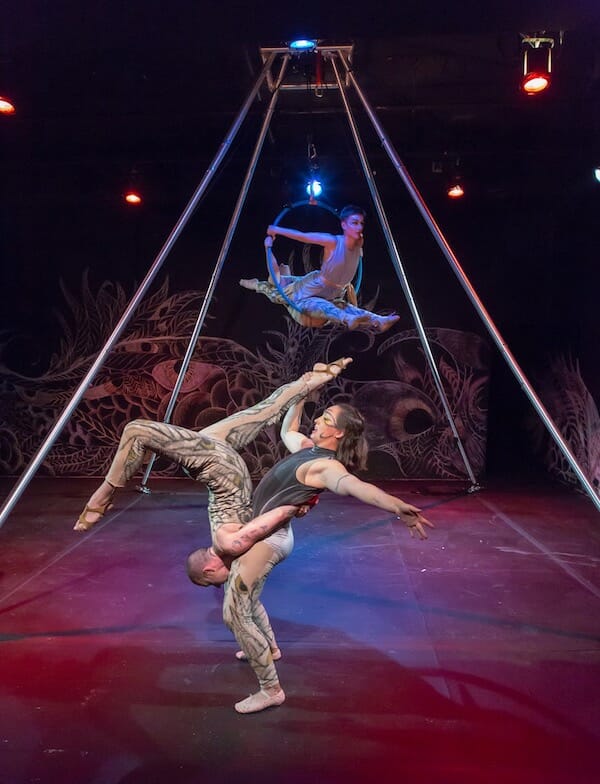 Chicago Circus and Magic Discount Tickets some 1/2 price