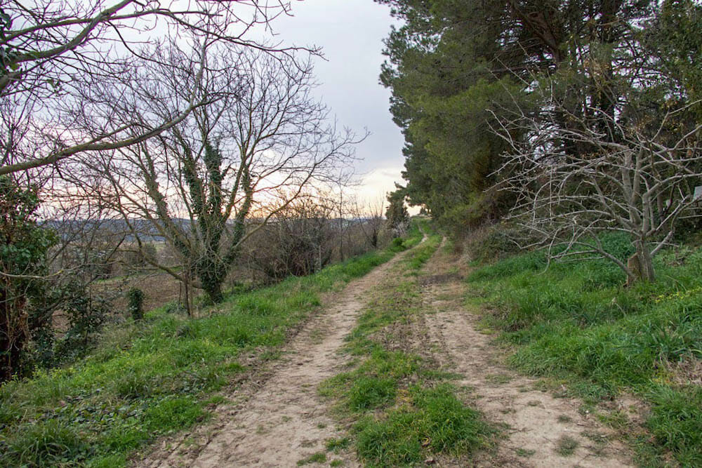 Masseria La Fiorita
