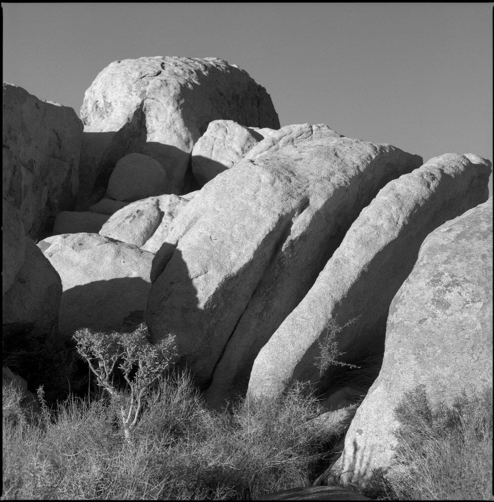 JOSHUA TREE NATIONAL PARK TWO-DAY TOUR JOSHUA TREE NATIONAL PARK TWO-DAY TOUR