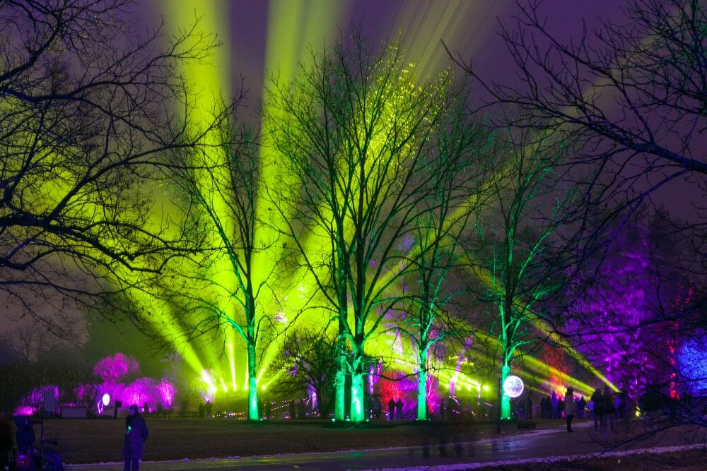 Morton Arboretum presents ILLUMINATION: TREE LIGHTS—Preview