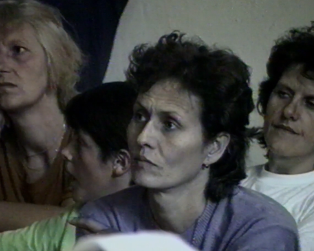Ovid.tv PRIME TIME IN THE CAMPS