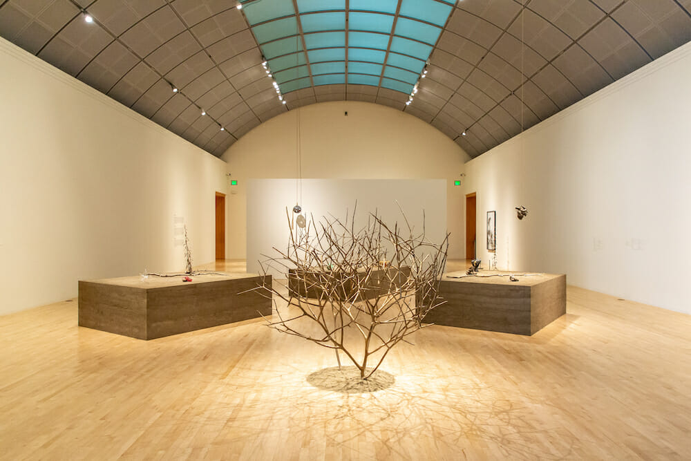 San Jose Museum of Art KELLY AKASHI: FORMATIONS