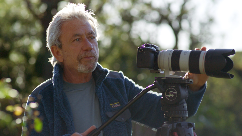 GRATITUDE REVEALED Film — PICTURE PREVIEW