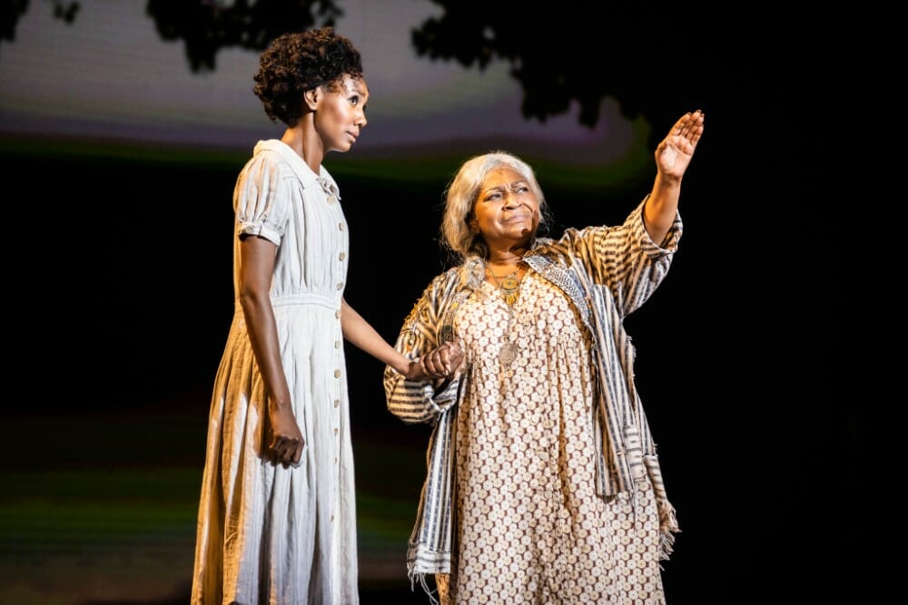 Broadway In Chicago TINA – THE TINA TURNER MUSICAL